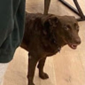 Meet your Posher, Karla